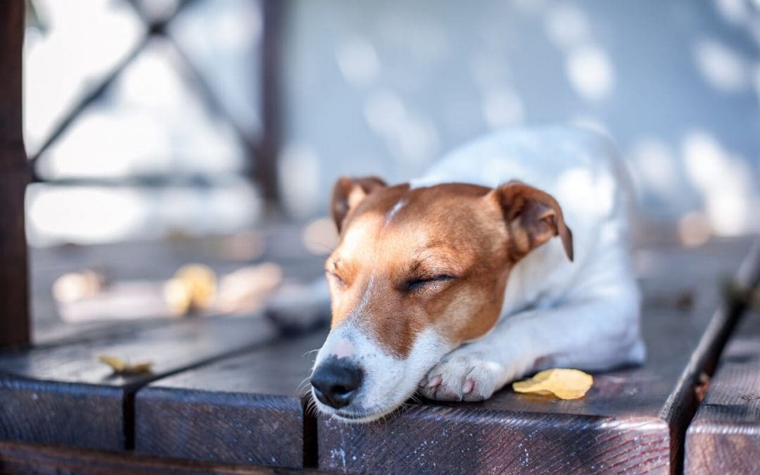 4 Steps to Improve Deck Safety
