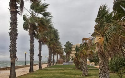 7 Steps When Protecting Your Home From Wind Damage