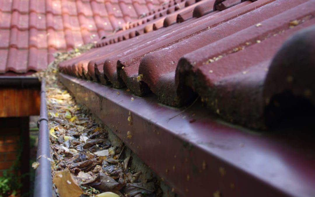 4 Home Maintenance Tasks to Tackle When the Time Changes