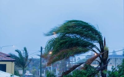 Understanding Wind Mitigation Inspections in Florida