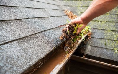 Fall Home Maintenance Tasks for a Happy, Healthy Home